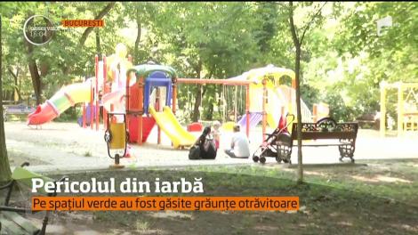 Alertă în București! Pe spațiul verde au fost găsite grăunțe otrăvitoare