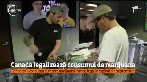 Canada legalizează consumul de marijuana în scop recreaţional