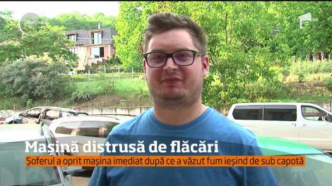 A fost panică pe o stradă din Târgu Mureş