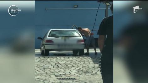 Imagini hilare la o spălătorie din Reşiţa! Un bărbat și-a spălat singur interiorul mașinii: "S-a așezat pe scaunul îmbibat cu apă și a plecat"