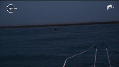 Braconajul continuă să facă ravagii în Delta Dunăriii şi Marea Neagră!