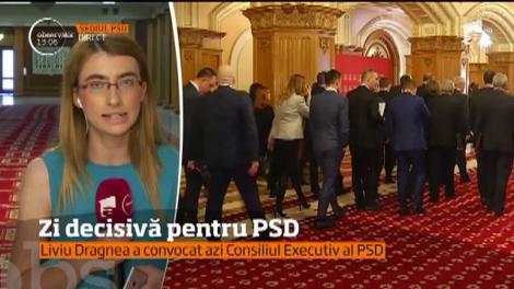 Condamnarea lui Liviu Dragnea a provocat o undă de şoc în interiorul partidului