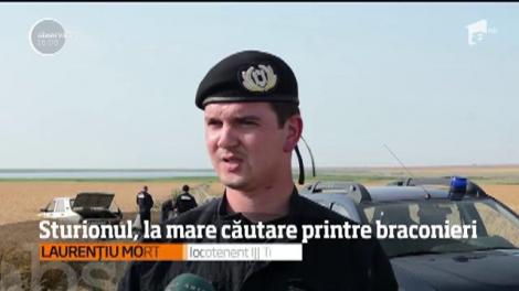 Braconierii fac ravagii &icirc;n Delta Dunării şi Marea Neagră!