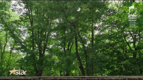 Arian Namdar, trucuri pe trotinetă freestyle la ”Next Star”