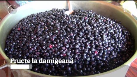 Fructe la damigeană. În topul preferințelor românilor se află afinata, vișinata și zmeurata