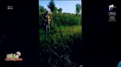 Smiley news! Vânătorul vânat și bătut de un fazan!