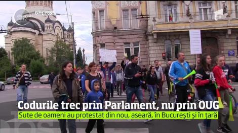 Modificarea Codurilor Penale nu va fi făcută prin ordonanţă de urgenţă.