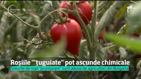 Roșiile ”țuguiate” pot ascunde chimicale. Roșiile tratate chimic conțin în interior o substanță verde, gelatinoasă