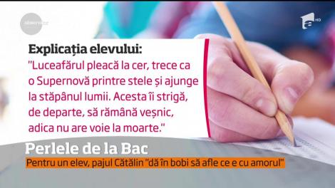 Elevii au scris „perle” de milioane la Bac! „Poetul nu loveşte coloana de minuni a lumii, că e om bun şi are milă de ele”