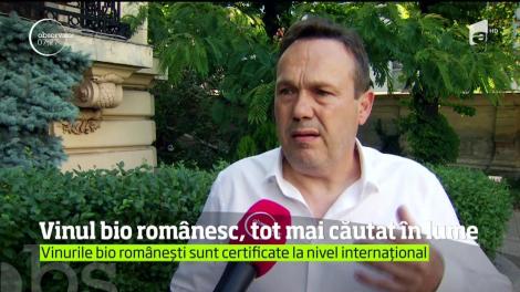 Strugurii cultivaţi bio dau vin bun şi tot mai căutat