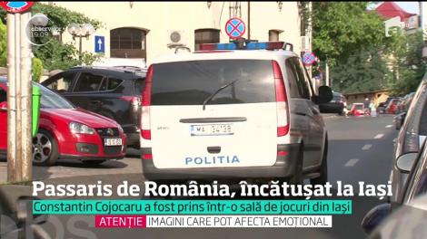 Passaris de România, încătușat la Iași. Bărbatul era dat în urmărire internațională după un jaf în Germania