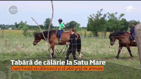 Tabăra de călărie din Satu Mare