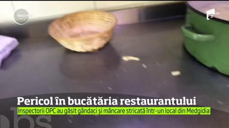 Vacanță la mare? Gândaci, mâncare expirată, depozitată în condiţii improprii şi multă mizerie asta au descoperit inspectorii OPC în bucătăria unui restaurant din Medgidia