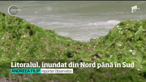 Litoralul, inundat de la Nord la Sud! Oamenii au fost nevoiţi să traverseze strada prin apă până la genunchi