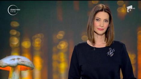 Ciuperci vândute cu un leu kilogramul. Culegorii sunt revoltați