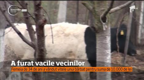 A furat vacile vecinilor, iar acum are toate şansele să se aleagă cu dosar penal