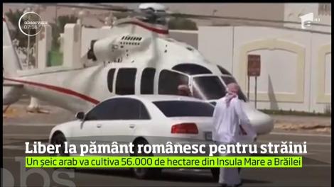 Un şeic arab va controla Insula Mare a Brăilei
