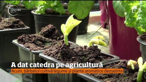 A dat categra pe agricultură. Acum, bărbatul cultiva legume și plante aromatice deosebite