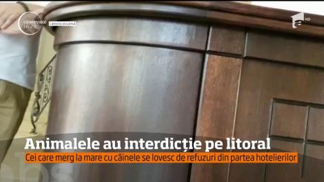 E oficial, prin LEGE! Animalele au interdicție pe litoral: AMENZI uriașe pentru turiștii care își aduc câinii pe plajă