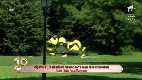 "Gigantica", cea mai mare tabăra de artă în aer liber din România