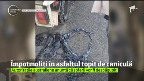 În Australia, zeci de şoferi au avut parte de o aventură pe care nu o vor uita prea repede