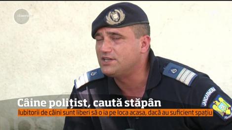 Câine polițist, caută stăpân. Patrupezii vor fi înlocuiți cu alți doi câini care vor fi antrenați