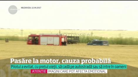 O pasăre la motor ar fi provocat catastrofa aviatică în care pilotul Florin Rotaru a murit