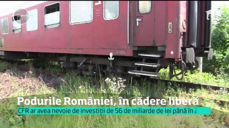 În România, jumătate dintre podurile CFR au nevoie urgență de reparații