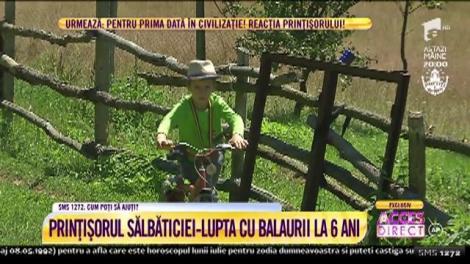 La numai 6 anișori, luptă pentru supraviețuire, în mijlocul sălbăticiei! Ionuț e prințișorul naturii!