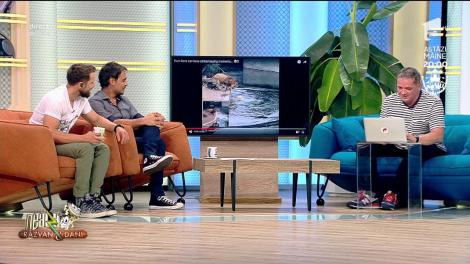 Smiley News! Leii și momentele stânjenitoare de la Grădina Zoologică