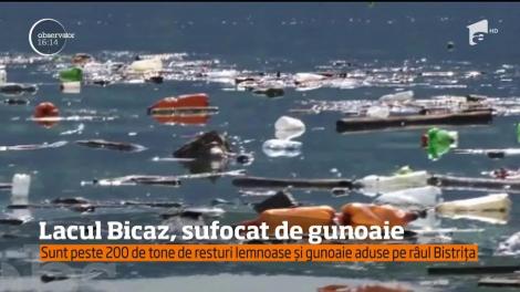 Imagini revoltătoare la Bicaz! Lacul Izvorul Muntelui, plin de GUNOAIELE din curțile localnicilor