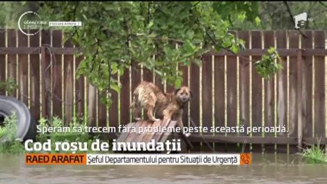 Veşti îngrijorătoare de la hidrologi. Este cod roşu de inundaţii în trei judeţe din ţară