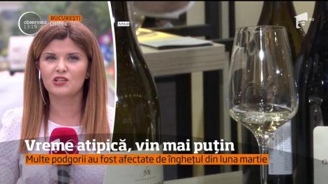 Anul acesta, vom bea mai puţin vin din producţia proprie