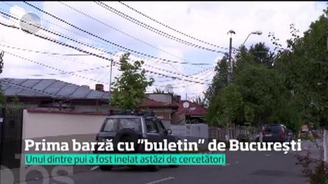 Nu este o glumă! Un pui de barză a primit… buletin de Bucureşti