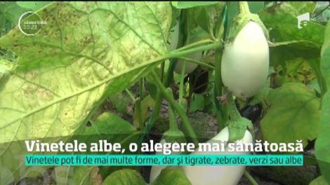 Vinetele nu sunt doar vinete: pot fi albe, verzi sau chiar pestriţe. De c&acirc;nd agricultorii rom&acirc;ni au &icirc;nceput să le cultive, şi clienţii rom&acirc;ni le-au descoperit gustul şi proprietăţile