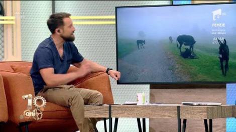 Toma Coconea și Adrian Miclea s-au întors de la X Pyr