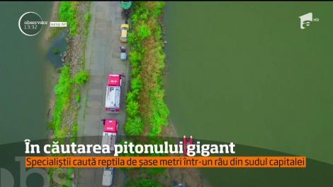 Autorităţile din Polonia sunt în alertă. Un piton de cel puţin şase metri este în libertate în sudul Varşoviei