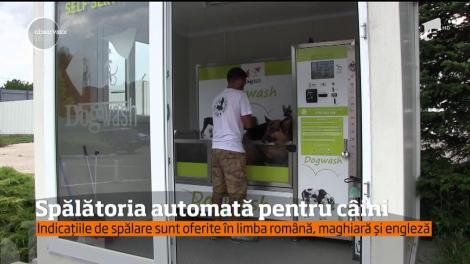 În Cluj întâlnim o spălătorie automată, în aer liber, dedicată câinilor