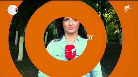 Este alertă între autorităţile din judeţul Bihor, după ce la o fermă din judeţ a fost confirmată prezenţa pestei porcine africane