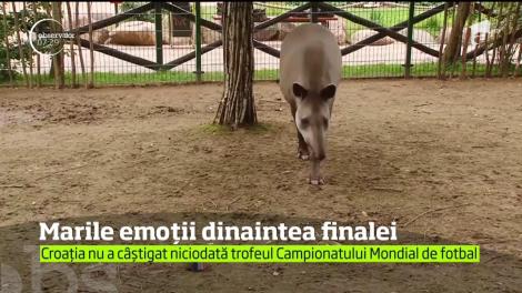 Cei mai înfocaţi suporteri ai celor două echipe naţionale aşteaptă cu nerăbdare finala de la Moscova