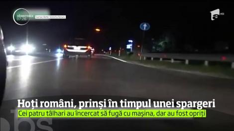 Bandă de hoţi români, desfiinţată în Italia