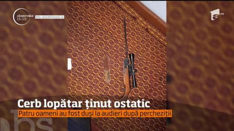 Animale sălbatice, descoperite în mai multe gospodării din Timiş