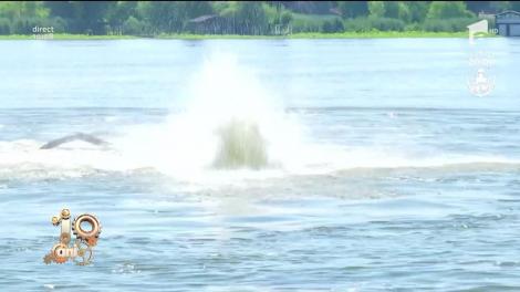 Flyboarding pe Lacul Snagov, cel mai la modă sport pe apă