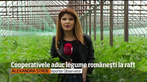 Cooperativele aduc legume românești la raft