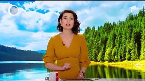 Cabane vânătoreşti, în județul Vâlcea, renovate pentru turiști