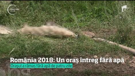 Un oraş întreg din România anului 2018 fierbe fără apă! De cinci zile, 150 de mii de oameni din Bacău suferă de sete