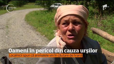 Oamenii, în pericol din cauza urșilor