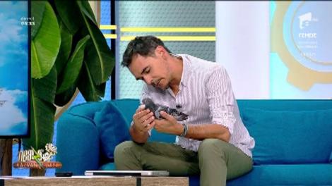 Răzvan Simion caută ajutor pentru un porumbel rănit al Federației Române de Sport Columbofil