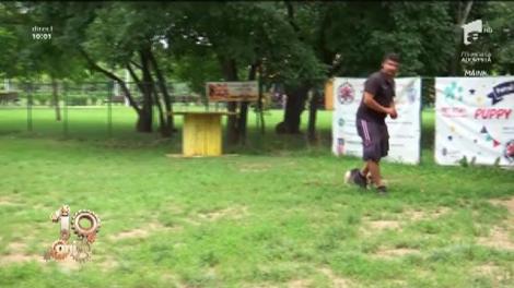 Clubul Câinilor Utilitari din București, o adevărată echipă de Căutare și Salvare cu câini special antrenați