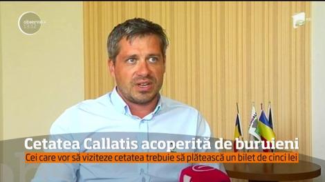 Cetatea Callatis acoperită de buruieni